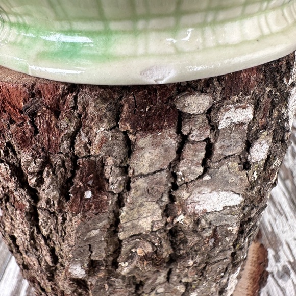 Mid 20th-Century Hand Painted “Window Pane” Camellia Earthenware Jug - Japan - Picture 5 of 7